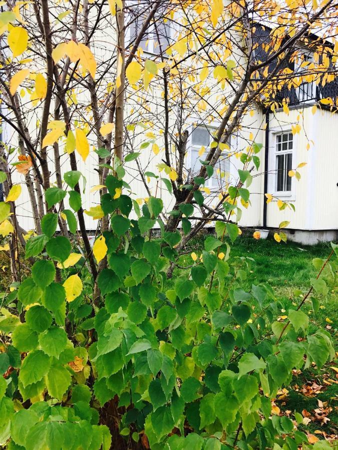Parkgatan Villa Krylbo エクステリア 写真